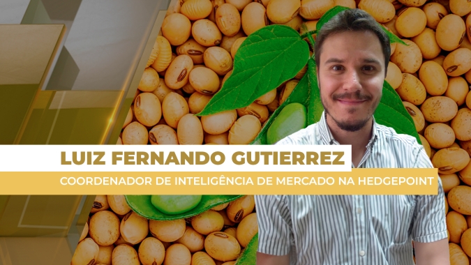 Soja: Ambiente de vendas é positivo e de oportunidades no 2º semestre para o produtor brasileiro