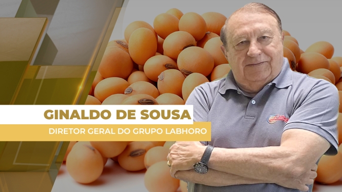 Prêmios da soja testam até US$ 1,80 por bushel acima de Chicago nesta 3ª diante da boa demanda e da lateralidade de Chicago