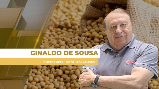 Mercado brasileiro da soja começa semana travado com Chicago e dólar em queda nesta 2ª feira