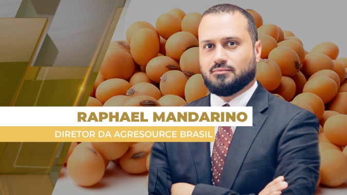 Mercado da soja no Brasil tem semana de negócios escassos com pressão sobre futuros em Chicago; atenção à logística