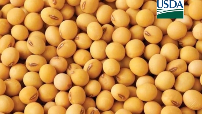 USDA traz vendas semanais de soja dos EUA abaixo das expectativas do mercado