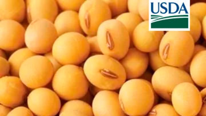 USDA informa nova venda de mais de 130 mil t para a China