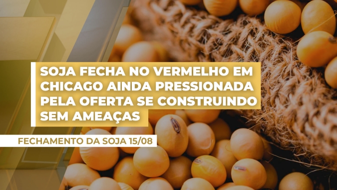 Soja fecha no vermelho em Chicago ainda pressionada pela oferta se construindo sem ameaças