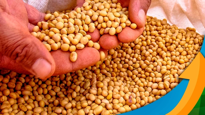 Em dia de relatório do USDA a soja em Chicago testa os US$12/bushel mas recupera parte das perdas no final da sessão