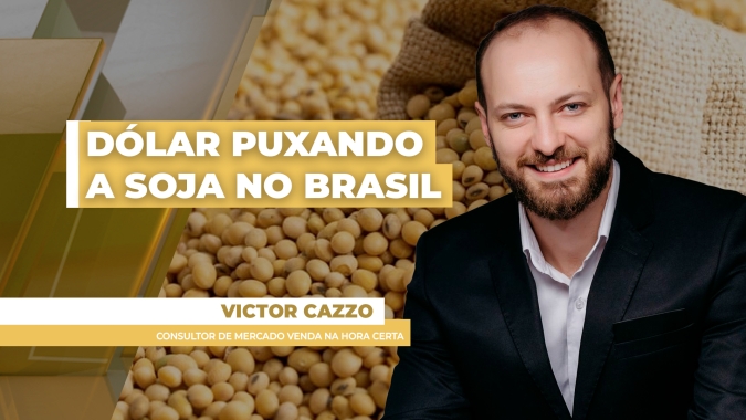 Preços da soja têm semana de altas no Brasil com estímulo do dólar e comercialização avança