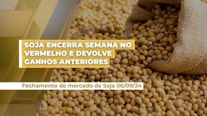 Soja em Chicago encerra a sexta-feira em queda  e devolve quase todo o ganho da semana