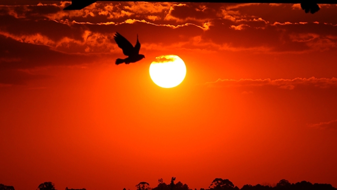 São Paulo registra temperatura mais alta para março desde 1943