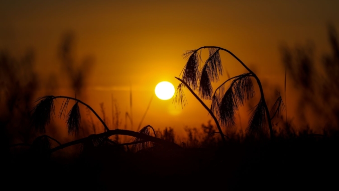 Final de semana tem previsão de sol e baixa umidade relativa do ar no Mato Grosso do Sul