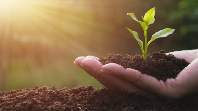 Novo crédito para o AGRO vem ganhando espaço nos últimos meses