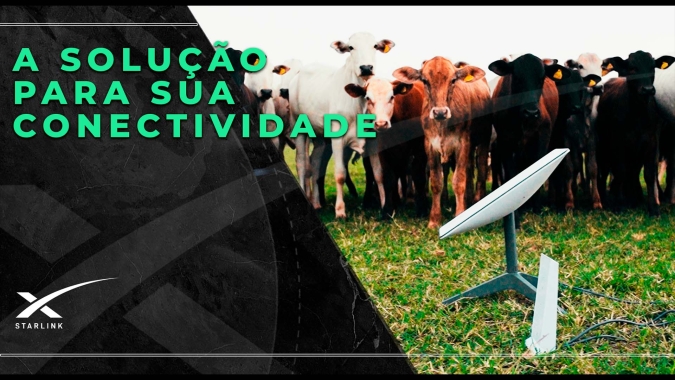 Starlink assina contrato com Pentágono para fornecer serviços de satélite para Ucrânia