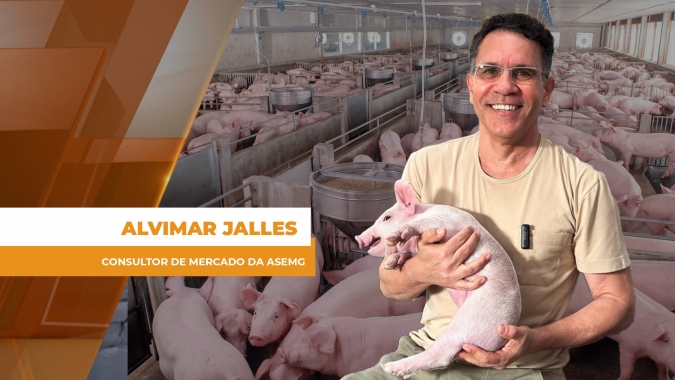 Suínos: Exportação, indústria e varejo: quem define o preço?