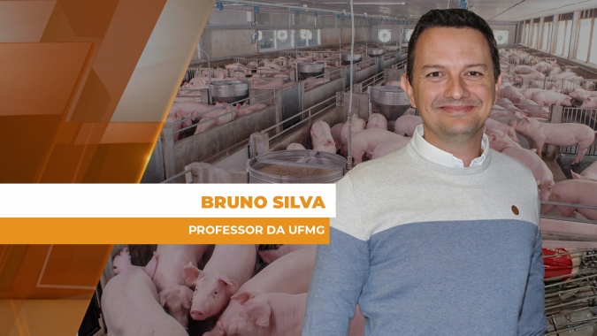 Nutrição de precisão transforma resultados na granja
