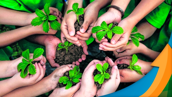 Agricultores se unem para aplicar em suas lavouras as inovações da Agricultura Sustentável