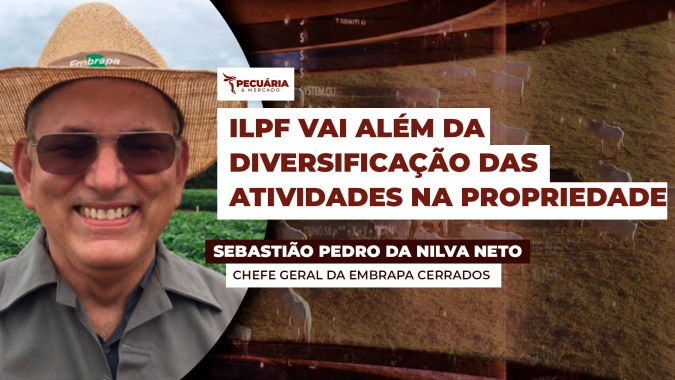 Pesquisa da Embrapa comprova maior faturamento, melhor fertilidade do solo e mais produtividade com uso da ILPF
