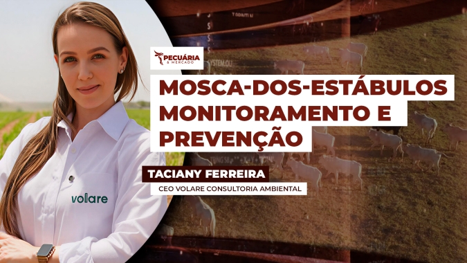 Com início da safra de cana-de-açúcar, atenção deve ser redobrada no controle da mosca-dos-estábulos
