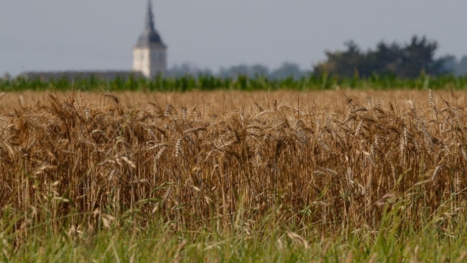 Condições de safras de cereais da França têm piora acentuada conforme seca aumenta