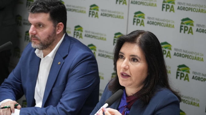 Tebet diz que maior valor do Seguro Rural depende da aprovação do arcabouço fiscal