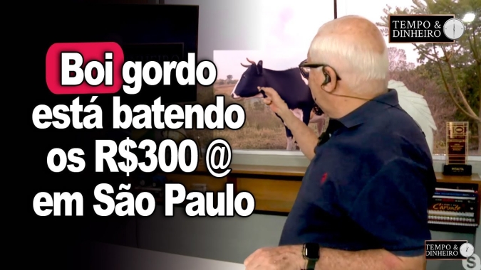 Boi gordo está batendo os R$300 @ em São Paulo