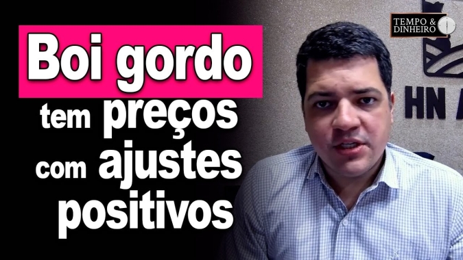 Boi gordo tem preços com ajustes positivos com oferta um pouco mais enxuta, avalia Hyberville Neto