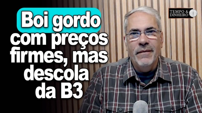 Boi gordo tem preços firmes no mercado físico mas descolado da B3. Veja como está a reposição no MS