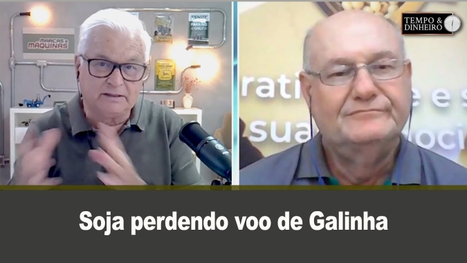 Soja perdendo voo de Galinha