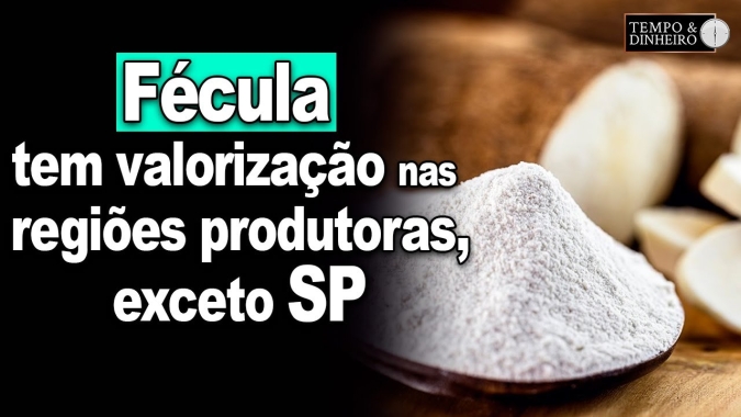Mercado de mandioca: fécula tem valorização em boa parte das regiões produtoras, exceto SP