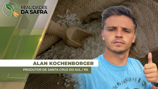 Preço do arroz está R$ 20,00 abaixo do custo de produção no Rio Grande do Sul