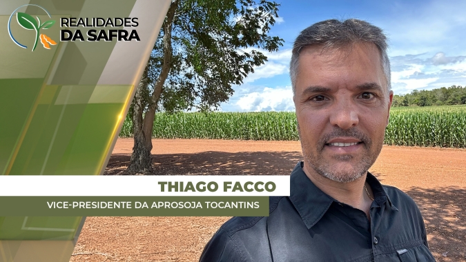 Milho, gergelim e feijão começam a ser colhidos com boas expectativas em Tocantins