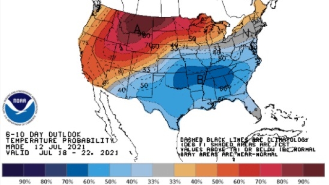 Soja opera com leves altas na Bolsa de Chicago e mantém monitoramento sobre o clima