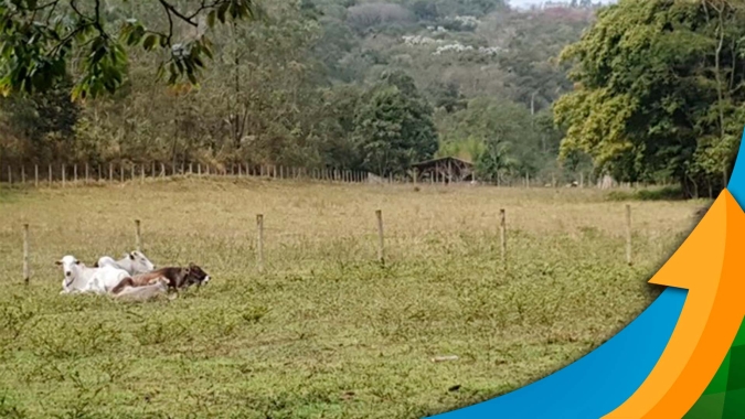 Com casos recentes de invasões do MST, produtor precisa saber sobre como se prevenir