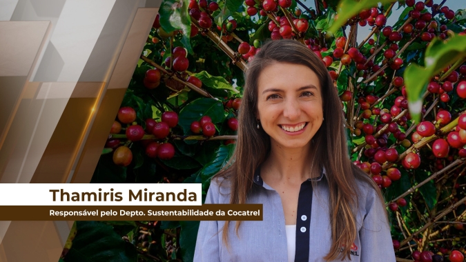 Projeto pioneiro busca promover a descarbonização da cadeia produtiva do café