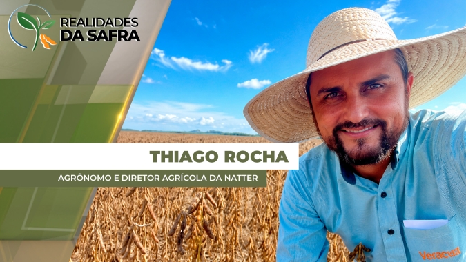 Colheita do milho começa no Mato Grosso com expectativas positivas de produtividade