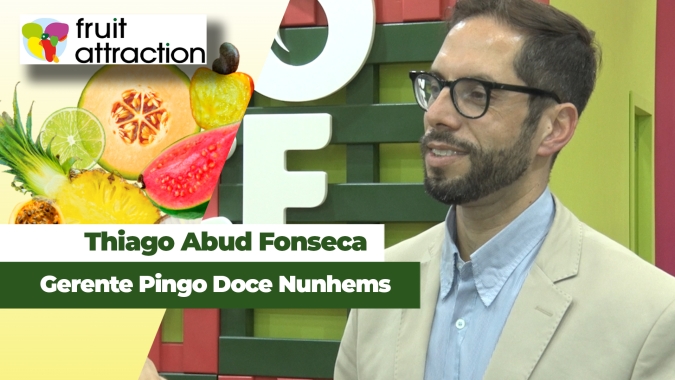 Melancia Pingo Doce deve começar a ser exportada ainda em 2026