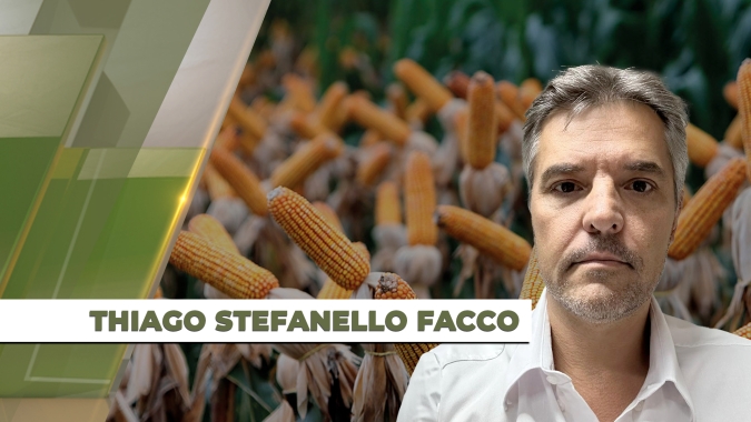 Tocantins fecha safra de milho no vermelho e espera mais uma temporada desafiadora para soja 24/25
