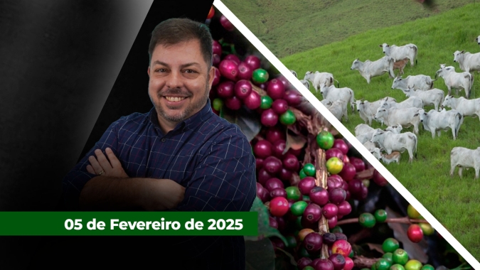 Café esbarra nos US$4,00/lbp em mais um dia de altas fortes em NY;  negócios pontuais em SP sinalizam nova rodada de alta para o boi