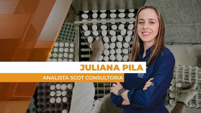 Após pico de preços dos ovos, valores no atacado e varejo começam a baixar por afastamento do consumidor
