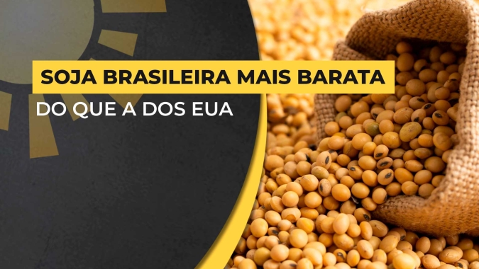 Soja: Enquanto Chicago renova mínimas em três anos, negócios se mostram cada vez mais escassos no Brasil