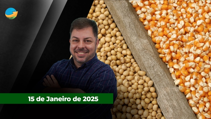 Área de milho no Paraná terá crescimento tímido enquanto soja aponta para produção recorde no Brasil  e pressiona Chicago