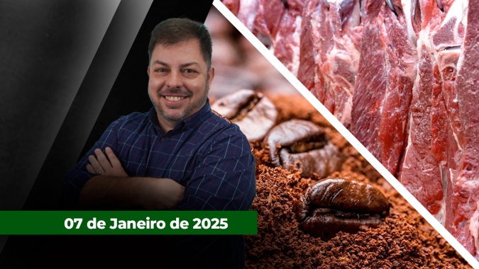 Brasil confirma novo recorde na exportação de carne bovina, enquanto valorização do real mexe com as commodities