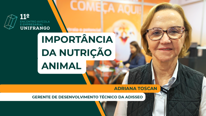 Aplicar uma nutrição animal inadequada acarreta uma série de prejuízos para cadeia produtiva
