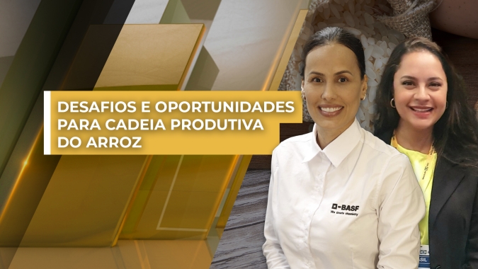 Desafios e oportunidades para a cadeia do arroz e a consolidação do setor como atividade lucrativa e sustentável