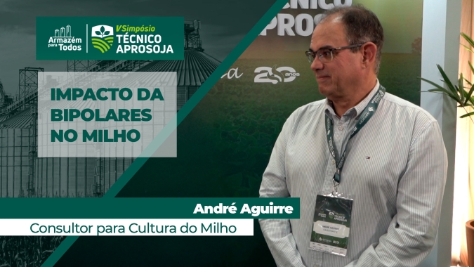 Cuidados com a Bipolaris, doença que vem ganhando importância  na cultura do milho