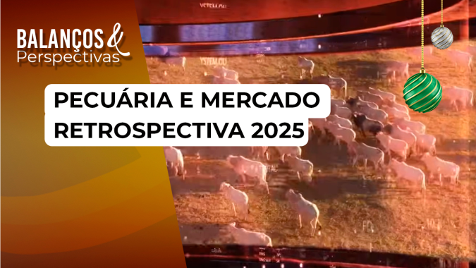 Pecuária & Mercado: Retrospectiva 2025 - Edição de 26/12/2025