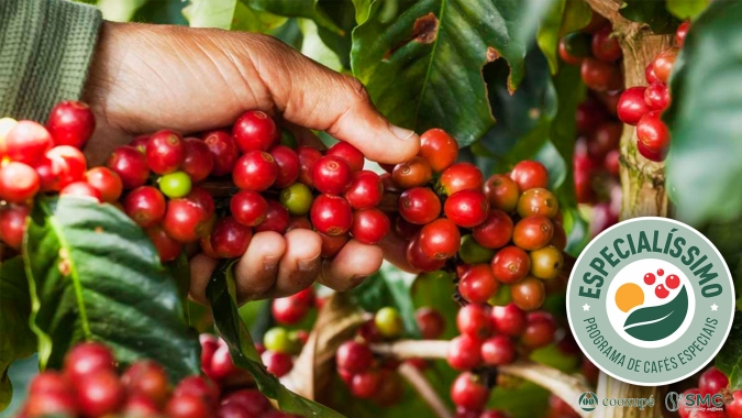 Especialíssimo: Após ano desafiador, produtor de Conceição Aparecida/MG comemora a boa notícia de estar entre os melhores cafés da Cooxupé