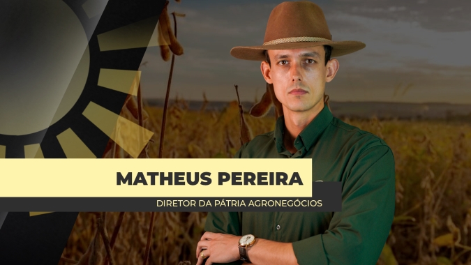 Produção de soja no Brasil deverá ter menor crescimento de área desde a safra 2006/07, aponta Pátria Agronegócios