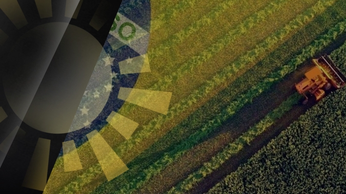 Brasil lidera o processo de fomento à segurança alimentar, energética e redução da desigualdade social no mundo, afirma Roberto Rodrigues