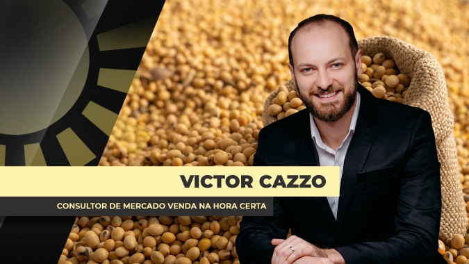 Preços da soja vão concluindo semana com ganhos de até R$ 2/sc no mercado brasileiro e negócios mais ativos