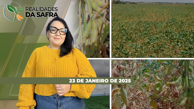 Pará avança com a safra de soja, mas de olho na taxação de suas exportações; Paraná continua sofrendo com altas temperaturas
