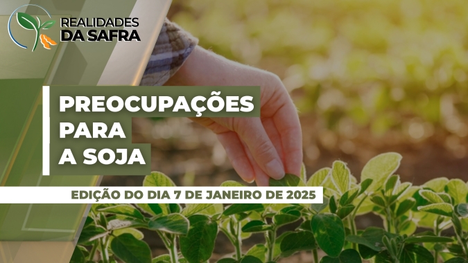 Dias seguidos de chuva preocupam para a soja em Tocantins, enquanto estiagem deixa Paraná em alerta