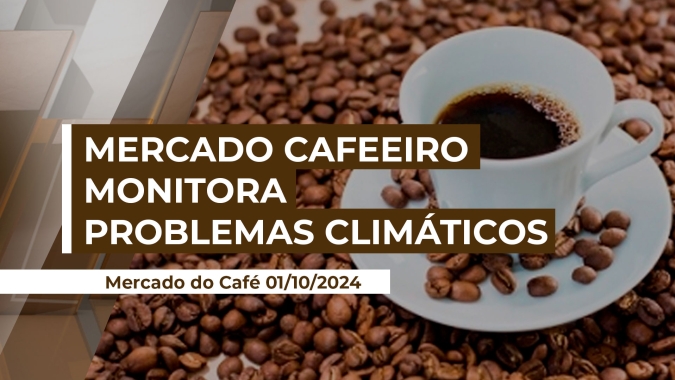 Mercado Café: Preços seguem voláteis nas bolsas de olho no clima adverso em regiões produtoras